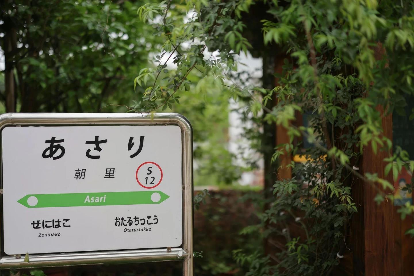 茂木希子 找寻朝里的故事